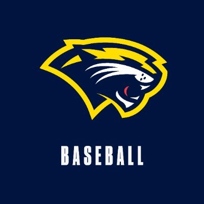 SAU Cougars Baseball's profile picture