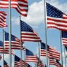 Freedom55's profile picture