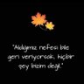 gizem 🇹🇷 的头像