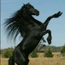 IronHorsey ๐บ๐ธ's profile picture