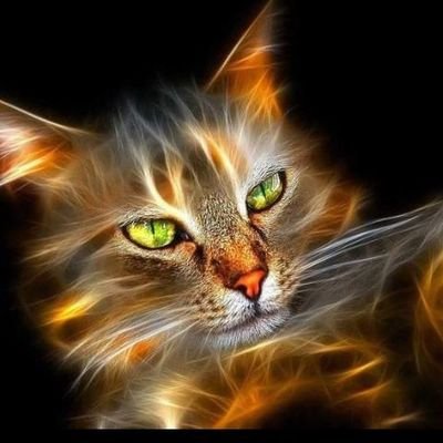 pepe escalante's profile picture