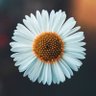 Ezgisu ÜZEL profil fotoğrafı