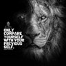 Lion Heart profil fotoğrafı