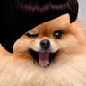 å»çè±æ¯ããã¡ãã ç倎å