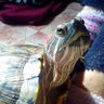 Benjamin 8769100 profil fotoğrafı