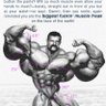 Musclecub 的头像