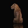 Фото профиля Fauna NATURAL