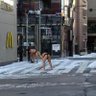 alexandretokyo profil fotoğrafı