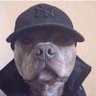 Daniel's profile picture