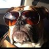 TheBulldogHDP profil fotoğrafı