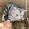 Mil's 的头像