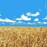 Влад's profile picture
