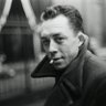 Profilbild von Lee