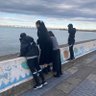 真 的头像
