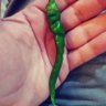 Фото профиля Cayenne Pepper