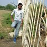 sreenu reddy's profile picture