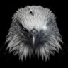 Profilbild von moroking