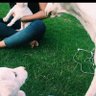 Ninu Talom profil fotoğrafı
