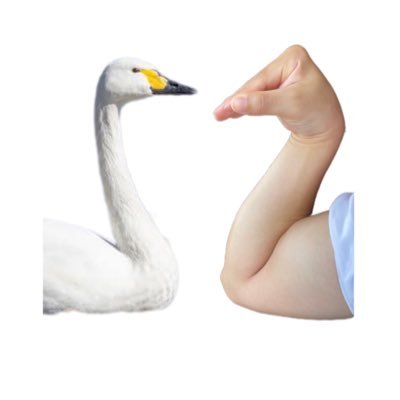 i_am_not_chigyu's profile picture