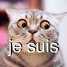 josyp_zaluppa's profile picture