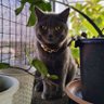 Фото профиля chuy