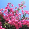 Фото профиля Marie