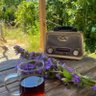 Profilbild von SSj 13778
