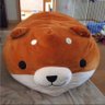 コウちゃん's profile picture