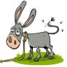 The Fixer's profile picture