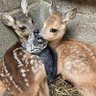 mstfa.ist.'s profile picture
