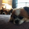 Annie-Josey profil fotoğrafı