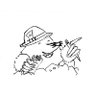 Toche's profile picture