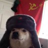 Lord ShiftyMunkey 的头像