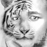 Keyz Allan's profile picture