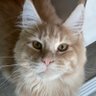 Fabio's profile picture