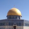 Mohammed Altahat's profile picture