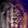 DJ Book's profile picture