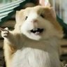 guki's profile picture