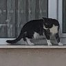 Фото профиля Fıratttt