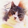 Profilbild von 🦋*kao(R)i