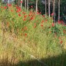 Фото профиля Kabanka28 #Trzaskowsk2025 #SnaW