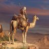 نايف النايف (FGC 1713)'s profile picture