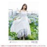 nodoka's profile picture