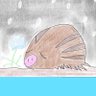 なぁ~⤴⤴ 的头像