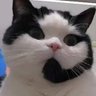 เจ้าแม่น้ำปิง profil fotoğrafı