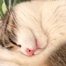Berthold's profile picture