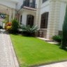 Profilbild von Crystal Gardens Landscape & Gardening Services