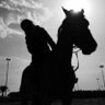 Фото профиля حصه المصيريع