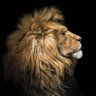 Фото профиля Manno Joseph