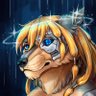 Zucca Xerfantes's profile picture